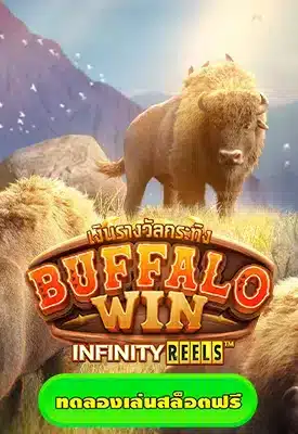 bufallo win