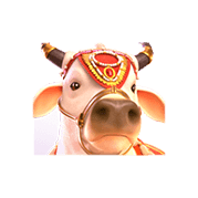 พระโค ทดลองเล่นเกมสล็อต Ganesha Fortune
