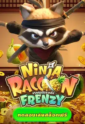 ninja raccoon frenzy
